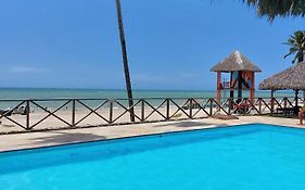 Eco Paradise 213